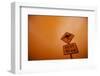 Kangaroo Crossing Sign in Dust Storm-Paul Souders-Framed Photographic Print