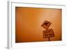 Kangaroo Crossing Sign in Dust Storm-Paul Souders-Framed Photographic Print