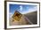 Kangaroo Crossing Sign in the Australian Outback-Paul Souders-Framed Photographic Print