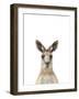 Kangaroo Friend-Marco Simoni-Framed Giclee Print