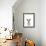 Kangaroo Friend-Marco Simoni-Framed Giclee Print displayed on a wall