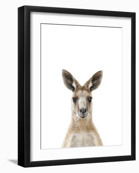 Kangaroo Friend-Marco Simoni-Framed Giclee Print