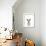Kangaroo Friend-Marco Simoni-Framed Giclee Print displayed on a wall