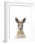 Kangaroo Friend-Marco Simoni-Framed Giclee Print