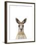 Kangaroo Friend-Marco Simoni-Framed Giclee Print
