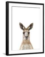 Kangaroo Friend-Marco Simoni-Framed Giclee Print