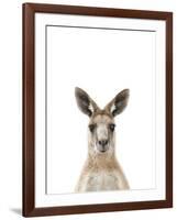 Kangaroo Friend-Marco Simoni-Framed Giclee Print