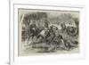 Kangaroo-Hunting in Australia-null-Framed Giclee Print