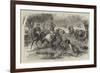 Kangaroo-Hunting in Australia-null-Framed Giclee Print