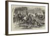 Kangaroo-Hunting in Australia-null-Framed Giclee Print