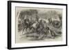 Kangaroo-Hunting in Australia-null-Framed Giclee Print