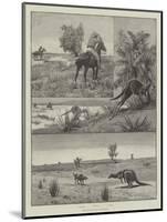 Kangaroo-Hunting in Australia-null-Mounted Giclee Print