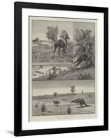 Kangaroo-Hunting in Australia-null-Framed Giclee Print