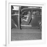 Kangaroo Sitting inside of Car, Smoking Pipe-null-Framed Photographic Print