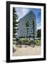 Kangaroo Statue in Front of the City of Perth Council, Perth, Western Australia, Australia, Pacific-Michael Runkel-Framed Photographic Print