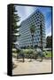 Kangaroo Statue in Front of the City of Perth Council, Perth, Western Australia, Australia, Pacific-Michael Runkel-Framed Stretched Canvas