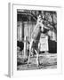 Kangaroo with a Punch Bag-null-Framed Photographic Print