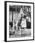 Kangaroo with a Punch Bag-null-Framed Photographic Print