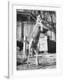 Kangaroo with a Punch Bag-null-Framed Photographic Print