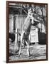 Kangaroo with a Punch Bag-null-Framed Photographic Print