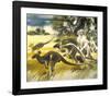 Kangaroo-Wolfgang Weber-Framed Premium Giclee Print