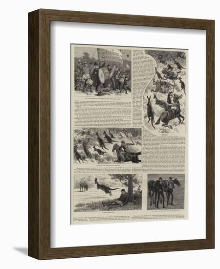 Kangaroo-null-Framed Giclee Print