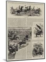 Kangaroo-null-Mounted Giclee Print