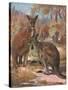 Kangaroos 1909-Cuthbert Swan-Stretched Canvas