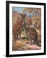 Kangaroos 1909-Cuthbert Swan-Framed Art Print