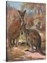 Kangaroos 1909-Cuthbert Swan-Stretched Canvas