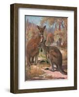 Kangaroos 1909-Cuthbert Swan-Framed Art Print