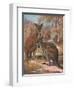 Kangaroos 1909-Cuthbert Swan-Framed Art Print