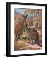 Kangaroos 1909-Cuthbert Swan-Framed Art Print