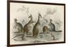 Kangaroos Various 19C-JS Murdoch-Framed Art Print