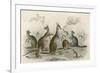 Kangaroos Various 19C-JS Murdoch-Framed Art Print