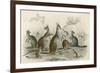 Kangaroos Various 19C-JS Murdoch-Framed Art Print