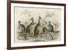 Kangaroos Various 19C-JS Murdoch-Framed Art Print