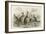 Kangaroos Various 19C-JS Murdoch-Framed Art Print