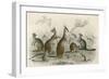 Kangaroos Various 19C-JS Murdoch-Framed Art Print