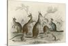 Kangaroos Various 19C-JS Murdoch-Stretched Canvas