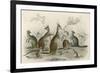 Kangaroos Various 19C-JS Murdoch-Framed Premium Giclee Print