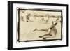 Kangeroo Reclining, Australia-Theo Westenberger-Framed Art Print