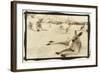 Kangeroo Reclining, Australia-Theo Westenberger-Framed Art Print