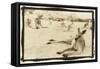 Kangeroo Reclining, Australia-Theo Westenberger-Framed Stretched Canvas