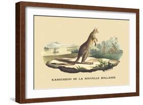 Kangouroo de la Nouvelle Hollande-E.f. Noel-Framed Art Print