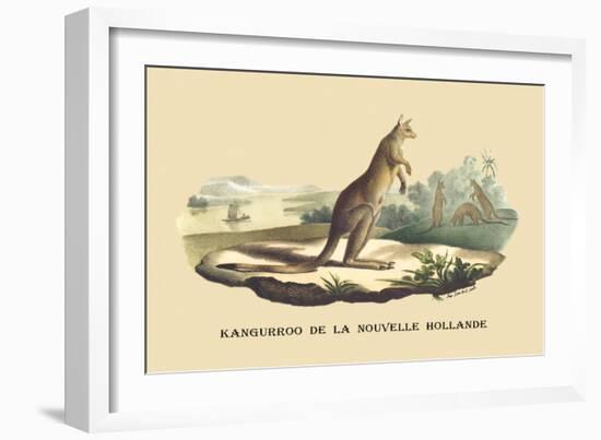 Kangouroo de la Nouvelle Hollande-E.f. Noel-Framed Art Print