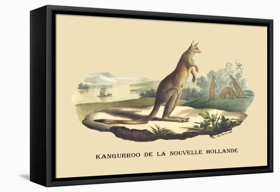 Kangouroo de la Nouvelle Hollande-E.f. Noel-Framed Stretched Canvas