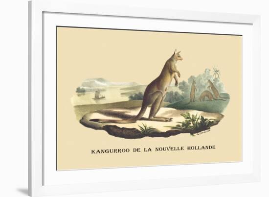 Kangouroo de la Nouvelle Hollande-E.f. Noel-Framed Premium Giclee Print