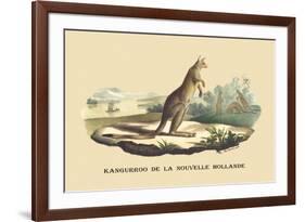 Kangouroo de la Nouvelle Hollande-E.f. Noel-Framed Premium Giclee Print