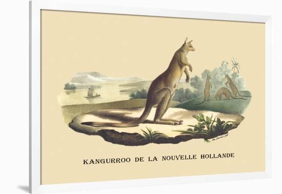 Kangouroo de la Nouvelle Hollande-E.f. Noel-Framed Art Print